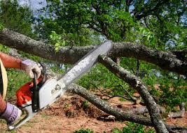 Best Soil Testing and Treatment  in Bridgewater, VA